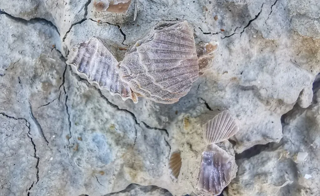 Calanchi Lucani