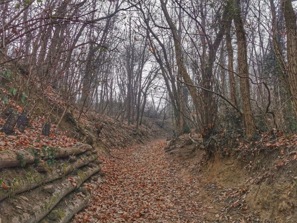 buon comportamento montagna