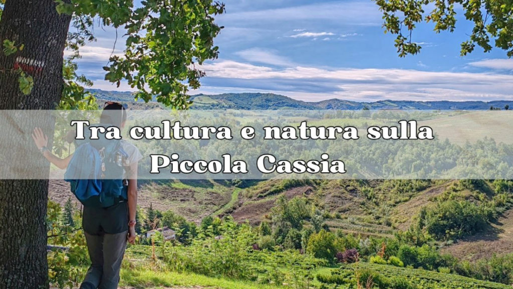 piccola cassia